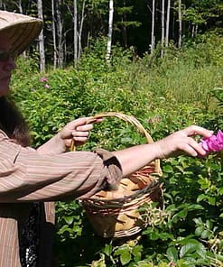 Alternative view of SACRED ROSE SOLID PERFUME