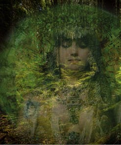 PARFUM ESPRIT DE LA FORET