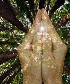 ARBRES EN PRIÈRE – Image 2