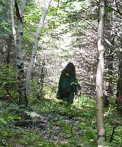 FOREST SPIRIT PERFUME - Image 4