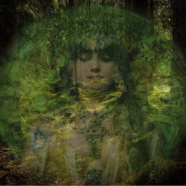 FOREST SPIRIT PERFUME