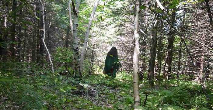 FOREST SPIRIT PERFUME - Image 4